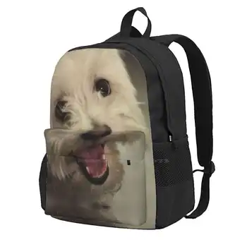 Белый улыбающийся Счастливый Гаванский щенок, Лидер продаж, рюкзак, модные сумки, Гаванский щенок, Белый питомец, пушистая улыбка, неряшливая морда животного