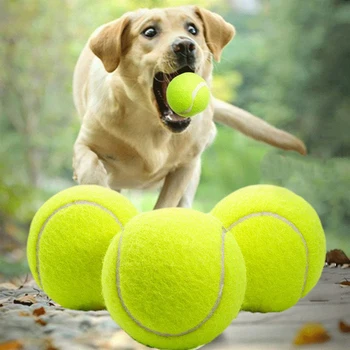 Игрушки Для собак Paw Paw, Теннисные мячи, устойчивые к укусам, Жевательные игрушки для кошек, товары для дрессировки щенков, товары для домашних животных