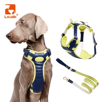 Loudik Персонализированный Роскошный кожаный комплект шлейки и поводка для большой собаки, Металлическая пряжка, сверхмощные поводки для домашних животных среднего размера, аксессуары