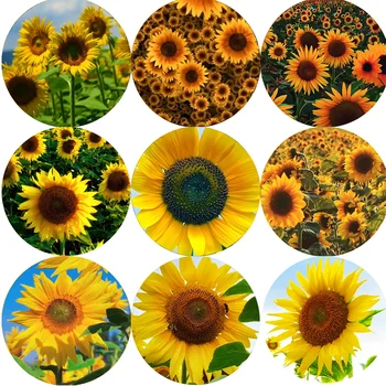 Love sunflower sports Демонстрация круглого стеклянного кабошона с плоской задней частью Для создания выводов 10 мм / 12 мм / 18 мм / 20 мм / 25 мм /30 мм