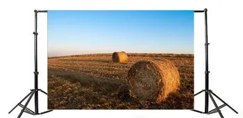 Фон для фотосъемки сельхозугодий, тюков соломы, сена, пшеничного поля, голубого неба, природы, осени